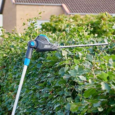 Allt du behöver veta om klippning och beskärning av bokhäckar